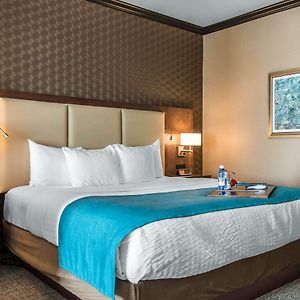 King Suite Mobility accessible